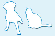 Animaux