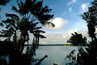 Madagascar