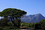 Marseille
