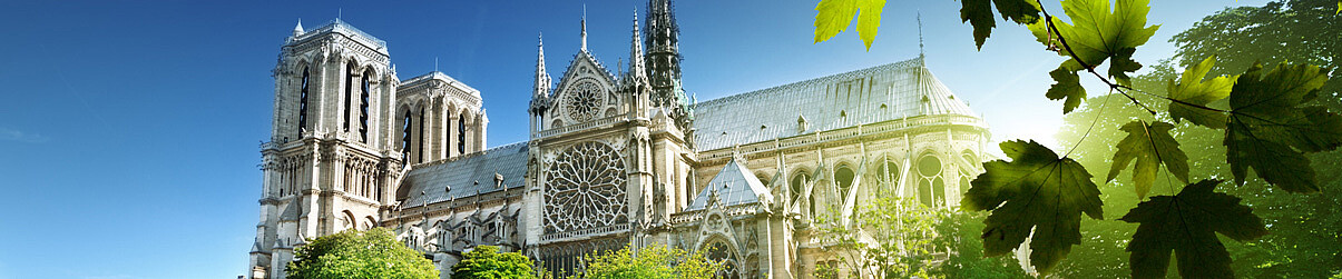Vol Saint-Denis vers Paris CDG avec Air Austral