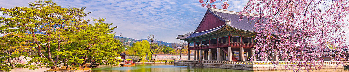 Vol Saint-Denis vers Seoul avec Air Austral