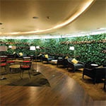 Salon Maurice
