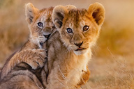 South Africa