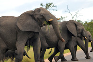 Tanzania