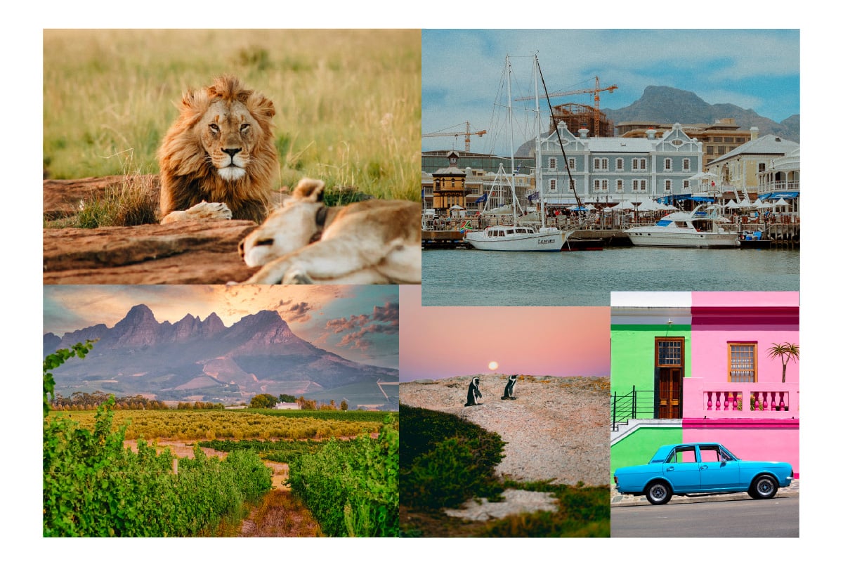 Capetown - Afrique du Sud