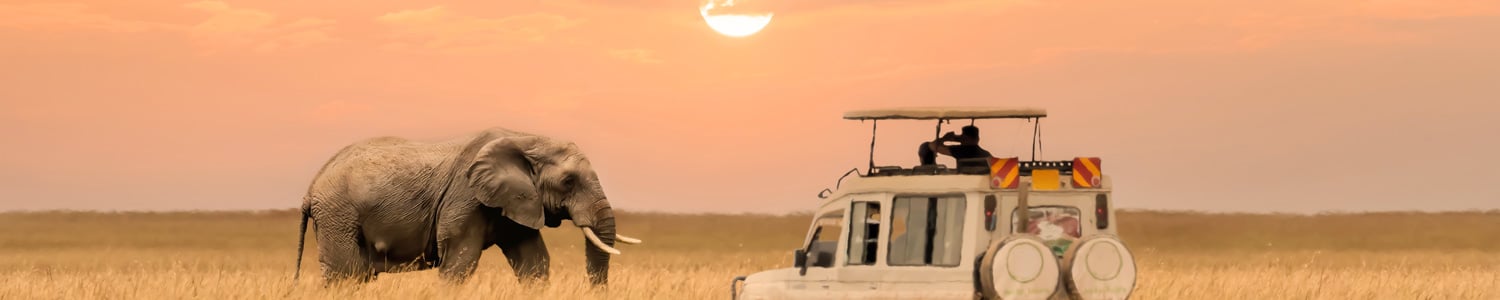 L'Afrique du Sud - Air Austral