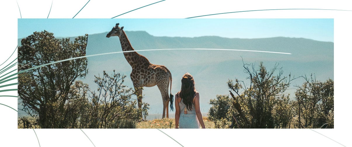 Promo vol Réunion vers Johannesburg