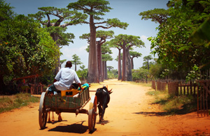 Vol pas cher Saint Denis Majunga - Madagascar
